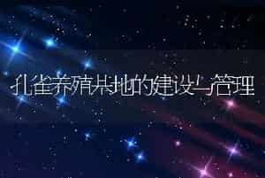 孔雀养殖基地的建设与管理