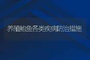 养殖鲍鱼各类疾病防治措施