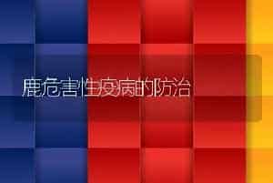 鹿危害性疫病的防治
