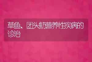 草鱼、团头鲂营养性疾病的诊治