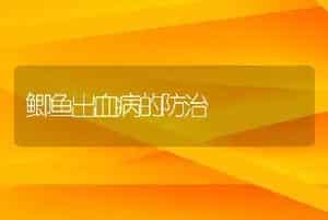 鲫鱼出血病的防治