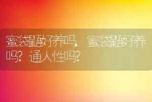 蜜袋鼯好养吗，蜜袋鼯好养吗？通人性吗？