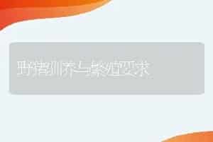 野猪驯养与繁殖要求