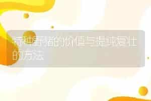 特种野猪的价值与提纯复壮的方法
