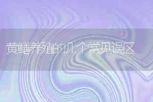 黄鳝养殖的几个常见误区