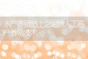 水产养殖贴士之泥鳅人工高产养殖技术