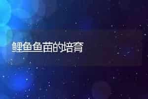 鲤鱼鱼苗的培育