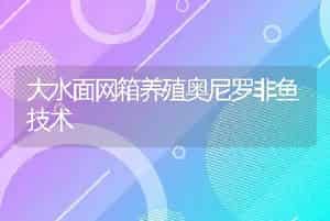 大水面网箱养殖奥尼罗非鱼技术