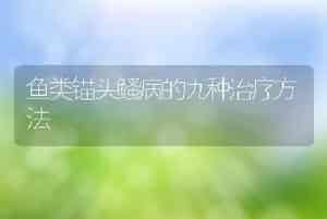 鱼类锚头鳋病的九种治疗方法