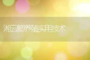 湘云鲫养殖实用技术