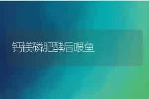钙镁磷肥酵后喂鱼
