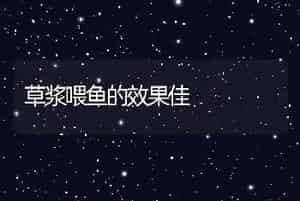 草浆喂鱼的效果佳