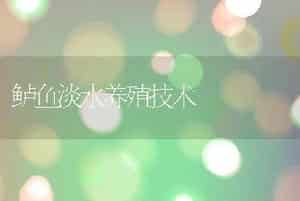 鲈鱼淡水养殖技术