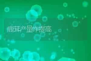 鹿茸产量咋提高