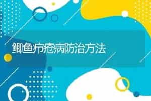 鲫鱼疖疮病防治方法