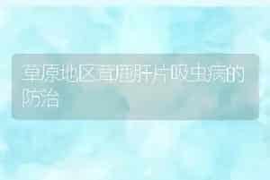 草原地区茸鹿肝片吸虫病的防治