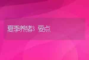 给育肥牛添加多少蛋白质饲料最适宜