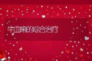 牛血痢的综合治疗