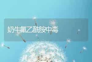 奶牛氟乙酰胺中毒