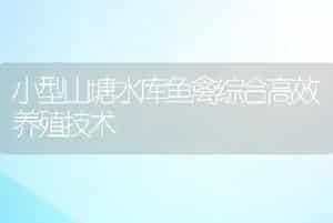 小型山塘水库鱼禽综合高效养殖技术