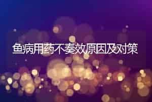 鱼病用药不奏效原因及对策
