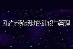 孔雀养殖场地的建设与管理