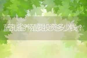 蓝孔雀养殖要投资多少钱？