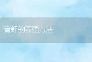 无土泥鳅养殖技术之指环虫病防治技术
