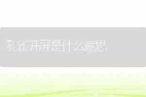 孔雀开屏是什么意思