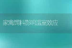 家禽饲料影响温室效应
