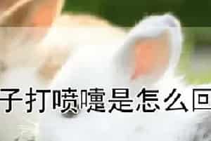 兔子打喷嚏是怎么回事