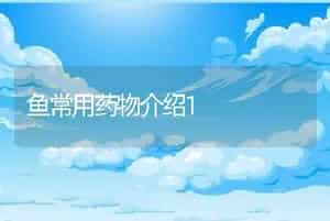 犊牛先天性锁肛伴发直肠阴道瘘病例