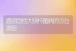 鹿溶血性大肠杆菌病的诊治报告