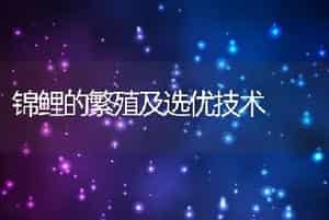 锦鲤的繁殖及选优技术