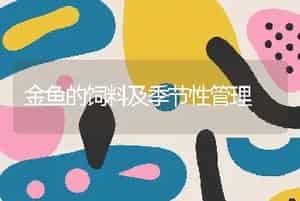 金鱼的饲料及季节性管理