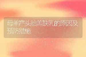 奶牛，该怎么养？