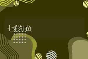 七彩鲑鱼