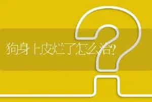 狗身上皮烂了怎么治？