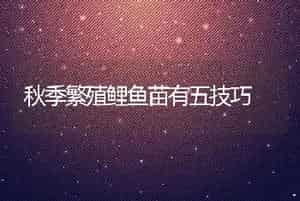 秋季繁殖鲤鱼苗有五技巧
