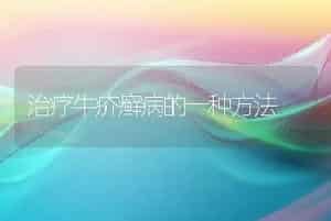治疗牛疥癣病的一种方法