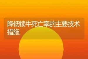 降低犊牛死亡率的主要技术措施