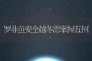 罗非鱼安全越冬需掌握五招