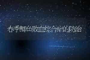 春季鲫鱼败血综合症的防治