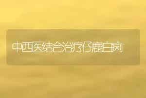 中西医结合治疗仔鹿白痢