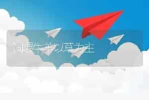 饲喂牛羊以草为主