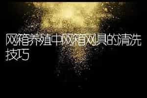 网箱养殖中网箱网具的清洗技巧