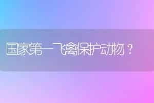 国家第一飞禽保护动物？