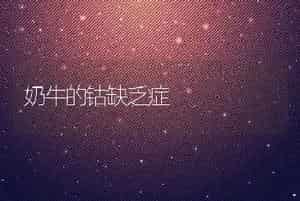 奶牛的钴缺乏症