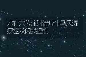 水针穴位注射治疗牛马风湿痹症及闪跌扭伤