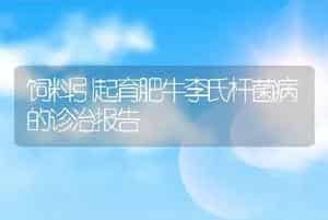 饲料引起育肥牛李氏杆菌病的诊治报告